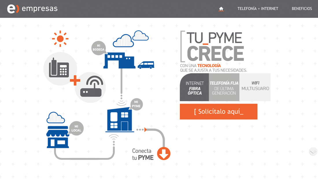 Entel NGN